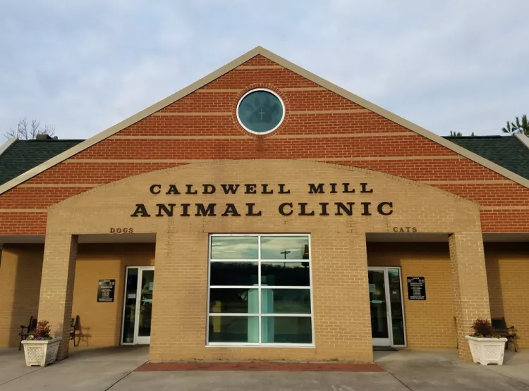 Caldwell Mill Animal Clinic, Alabama, Birmingham